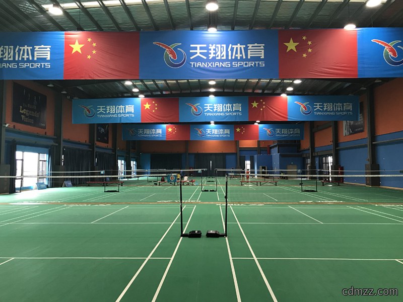 羽毛球训练馆装修设计效果图